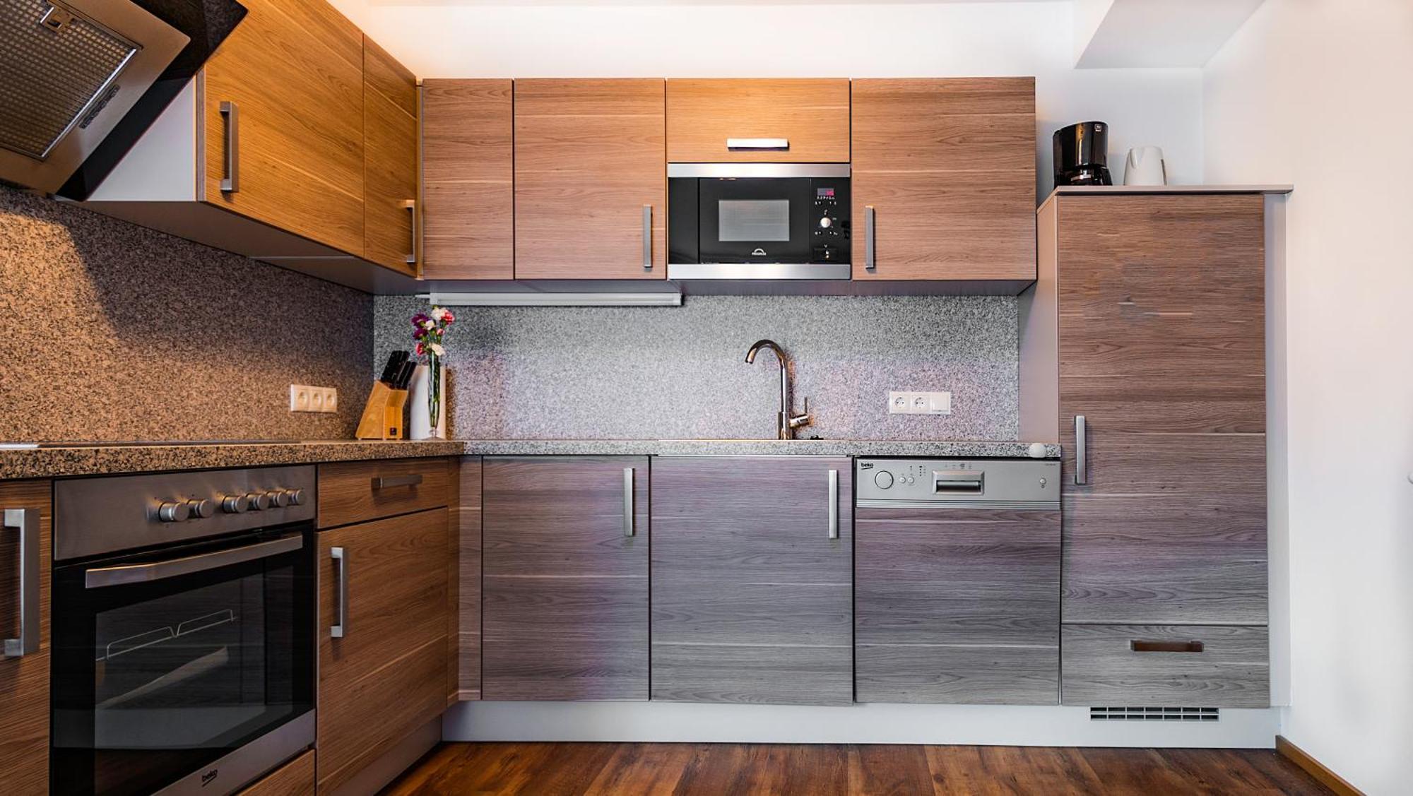 Cityhouse Apartments Schladming Cameră foto